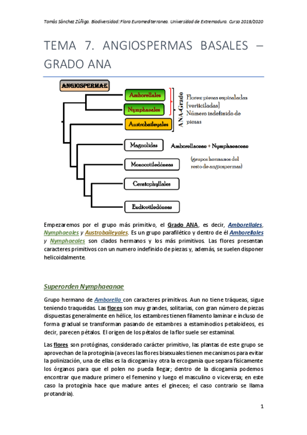 Miniatura del documento TEMA-7-FLORA.pdf