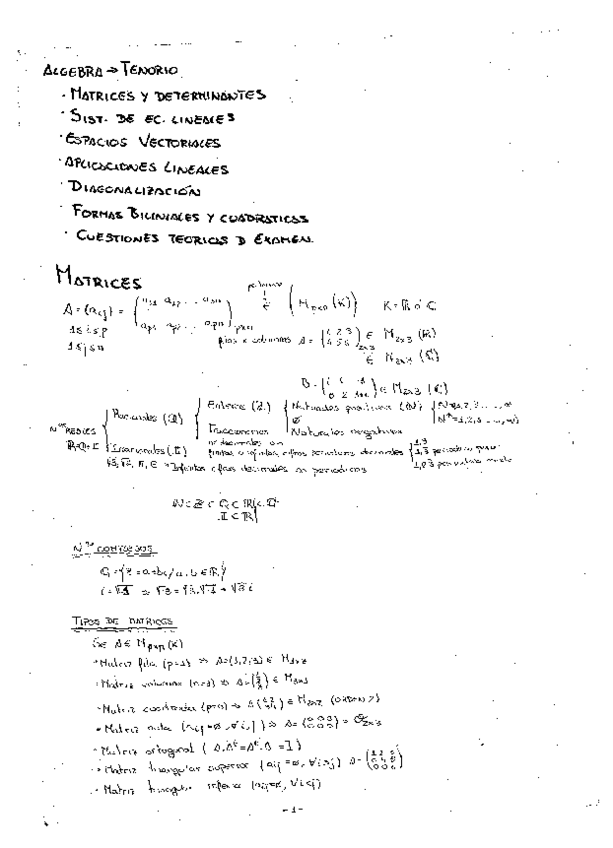 Miniatura del documento Apuntes Álgebra.pdf