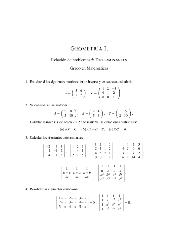 Miniatura del documento Relacion-Determinantes.pdf