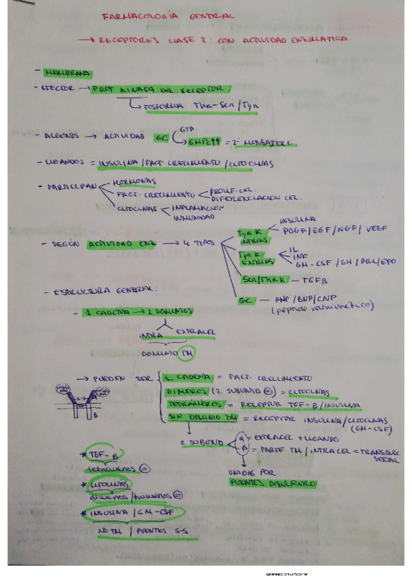 Miniatura del documento teoria-receptores-clase-3.pdf