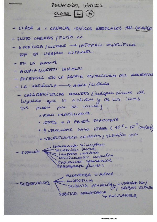 Miniatura del documento esquema-receptores-clase-1.pdf
