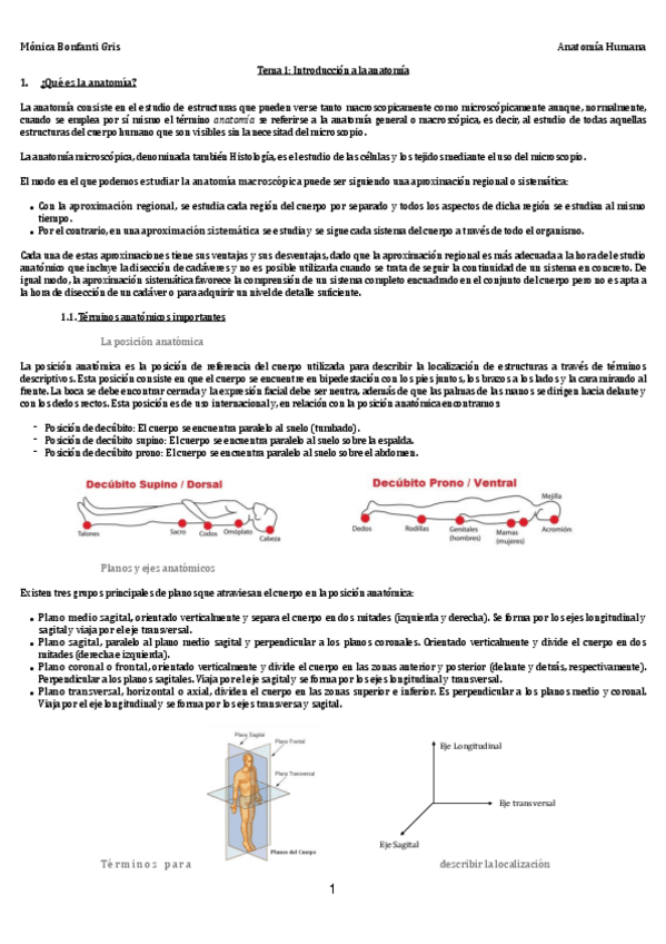 Miniatura del documento 1-2-INTRO-A-LA-ANATOMIA-Y.pdf