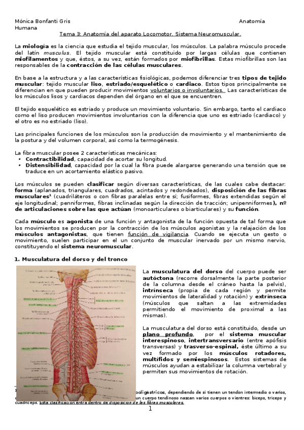 Miniatura del documento 3-LOCOMOTOR-Y-MUSCULOS.docx