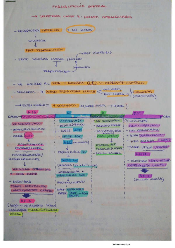 Miniatura del documento receptores-clase-4.pdf