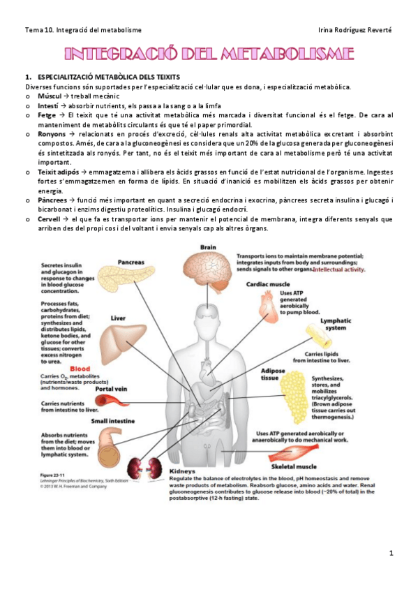 Miniatura del documento Tema-10-BQ.pdf
