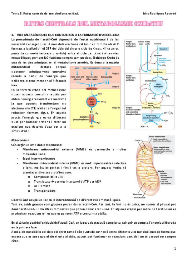 Miniatura del documento Tema-5-BQ.pdf