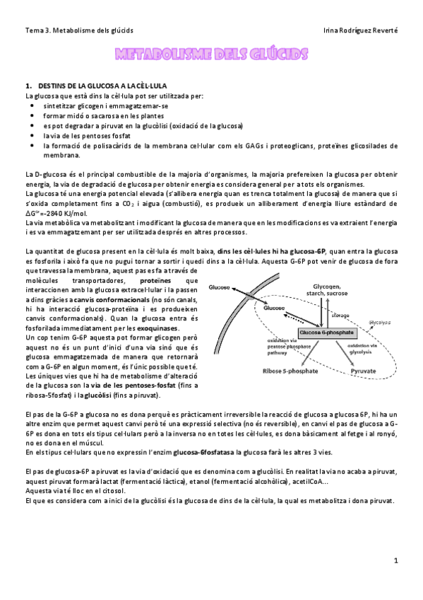 Miniatura del documento Tema-3-BQ.pdf