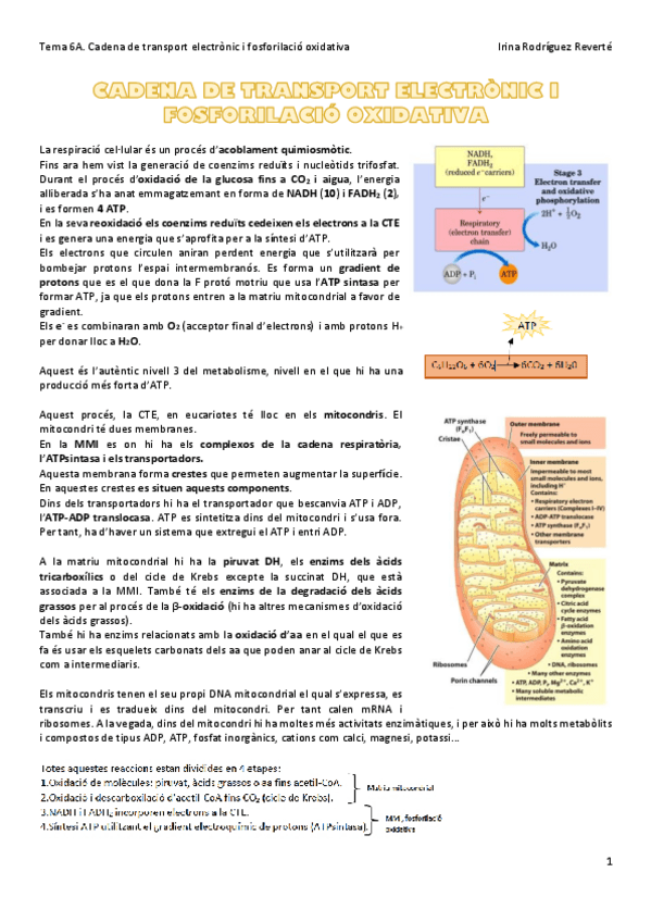 Miniatura del documento Tema-6A-BQ.pdf