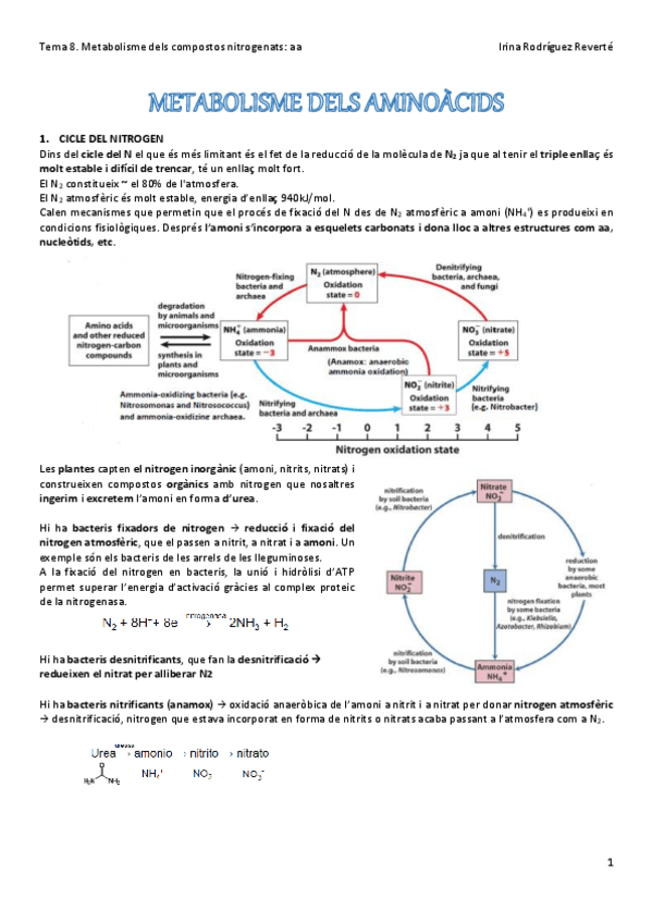 Miniatura del documento Tema-8-BQ.pdf