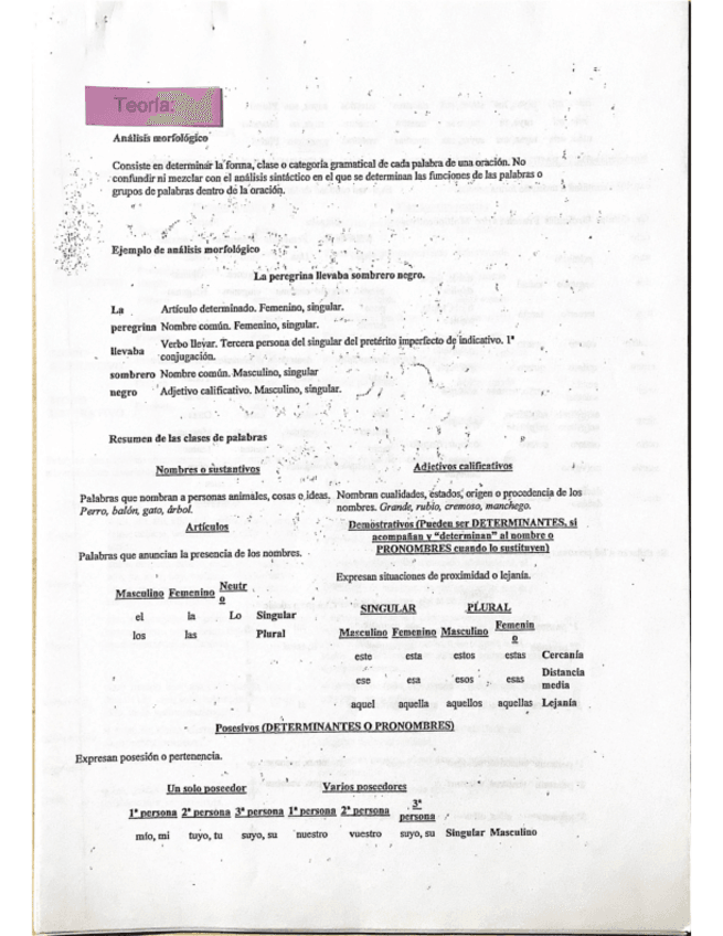 Miniatura del documento Analisis-morfologico.pdf