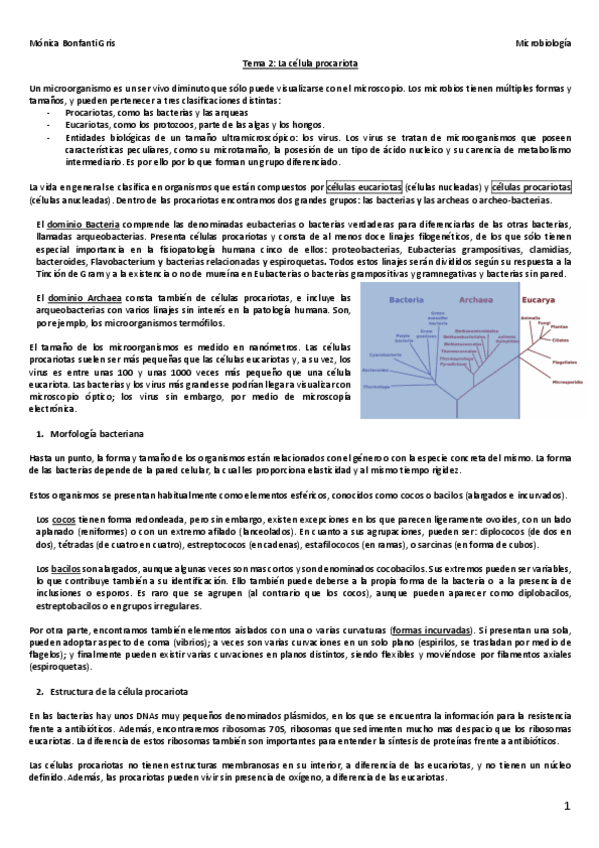 Miniatura del documento Tema-234.pdf