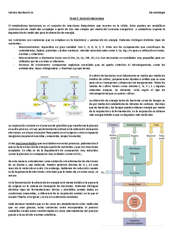 Miniatura del documento Tema-5.pdf