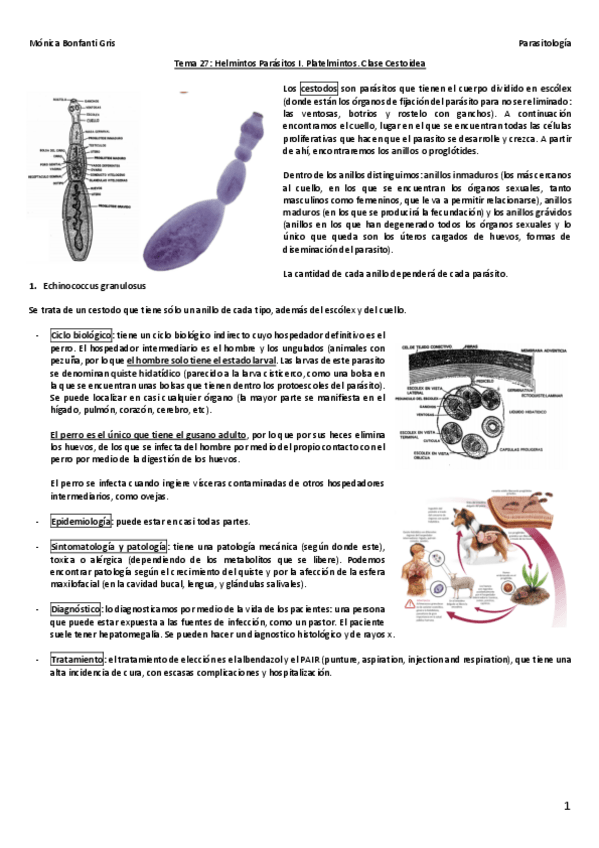 Miniatura del documento Tema-27.pdf