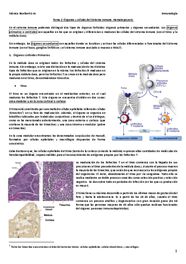 Miniatura del documento Tema-2.pdf