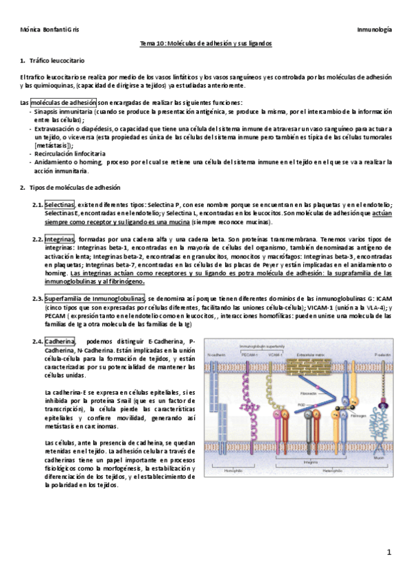 Miniatura del documento Tema-10.pdf
