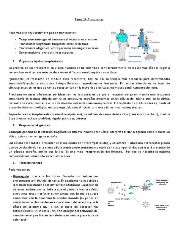 Miniatura del documento Tema-17.pdf