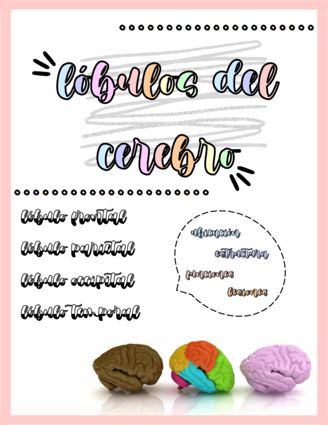 Miniatura del documento RESUMEN-LOBULOS-DEL-CEREBRO.pdf