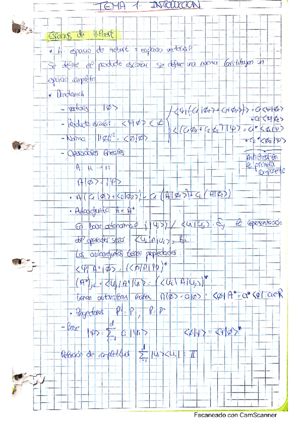 Miniatura del documento TEORIA-COMPLETA.pdf