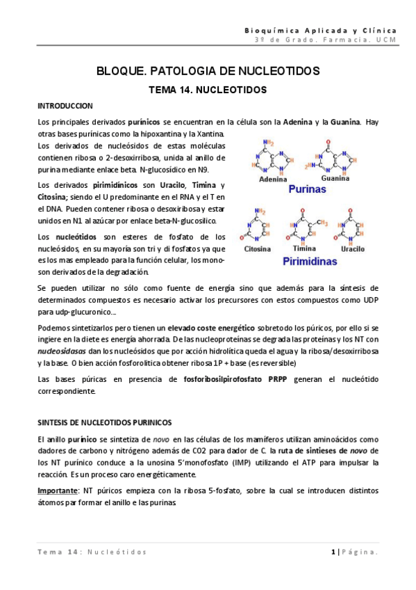 Miniatura del documento BAC - TEMA 14 - Nucleotidos.pdf