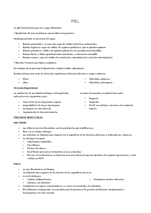 Miniatura del documento PIEL.pdf