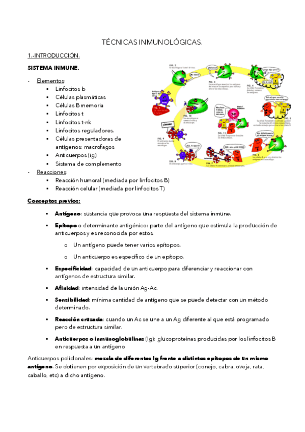 Miniatura del documento T11.pdf