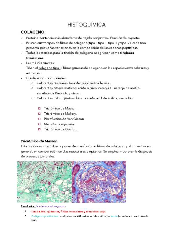 Miniatura del documento T8.pdf