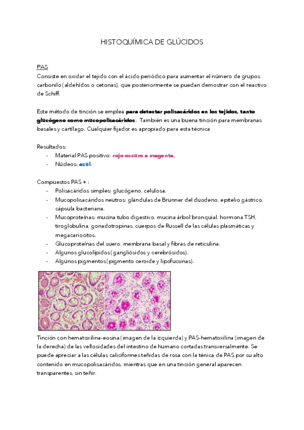 Miniatura del documento T9.pdf