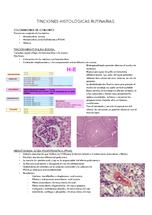 Miniatura del documento T7.pdf