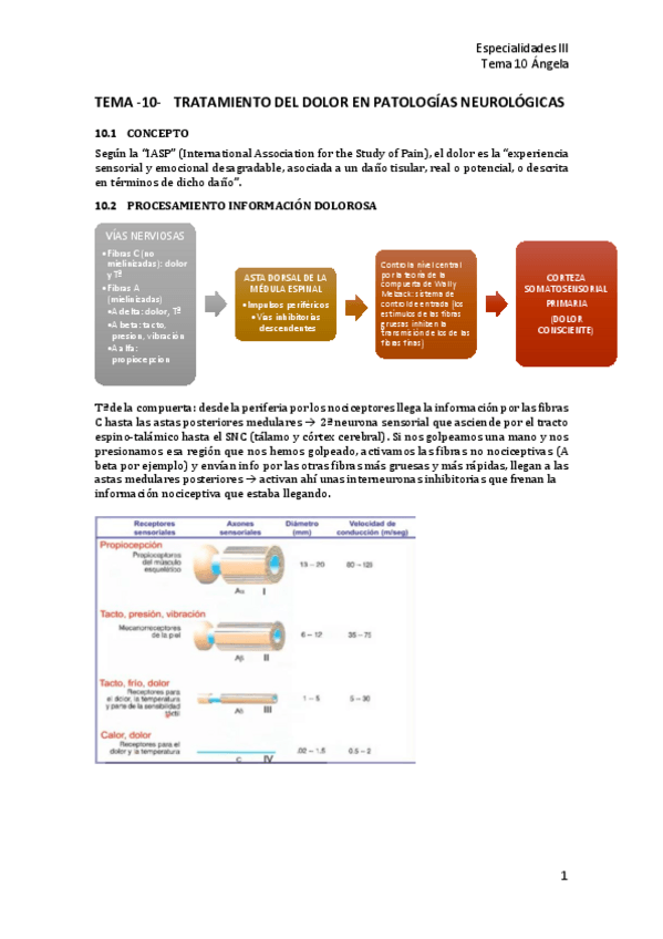 Miniatura del documento T10-Tratamiento-del-dolor-en-patologias-neurologicas.pdf