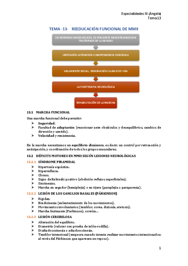 Miniatura del documento T13-Reeducacion-funcional-de-MMII.pdf