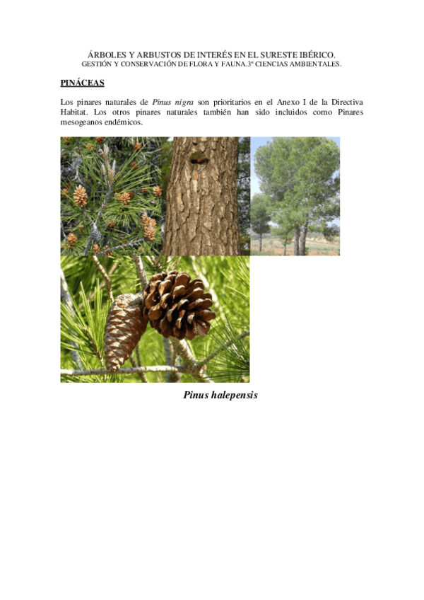 Miniatura del documento Visu-flora-completo.pdf