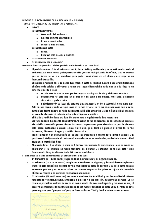 Miniatura del documento BLOQUE-2.pdf