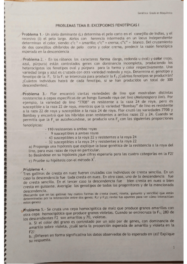 Miniatura del documento Tema-8.pdf