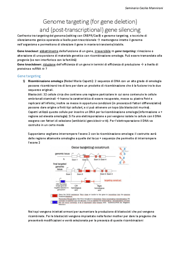 Miniatura del documento Seminario-Mannironi.pdf