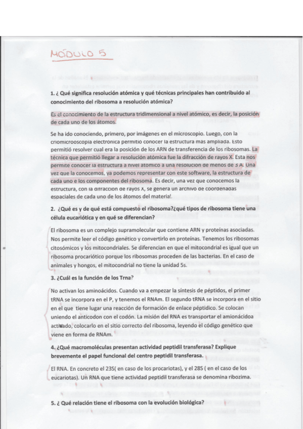 Miniatura del documento Preguntas-modulo-5.pdf