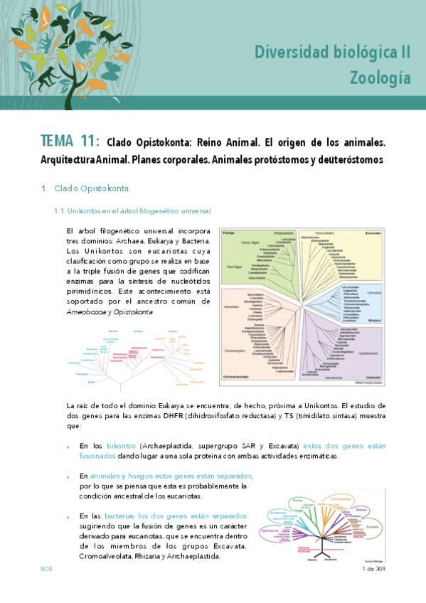 Miniatura del documento Diversidad-biologica-WUOLAH-primeros-temas.pdf