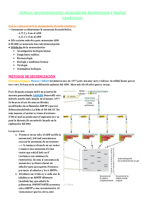 Miniatura del documento TEMA-6.pdf