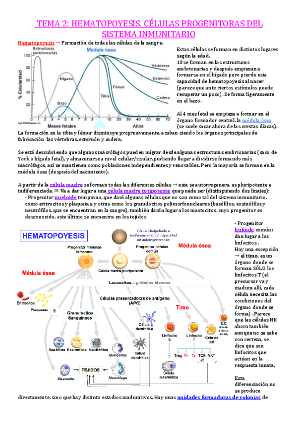 Miniatura del documento TEMA-2.pdf