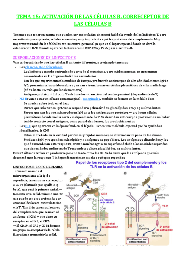 Miniatura del documento TEMA-15.pdf