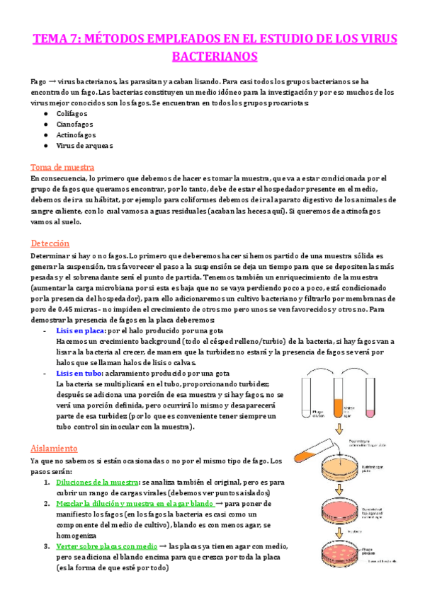 Miniatura del documento TEMA-7-METODOS-EMPLEADOS-EN-EL-ESTUDIO-DE-LOS-VIRUS-BACTERIANOS.pdf