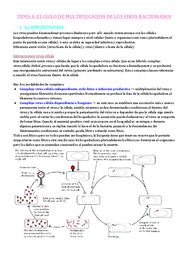 Miniatura del documento TEMA-8.pdf