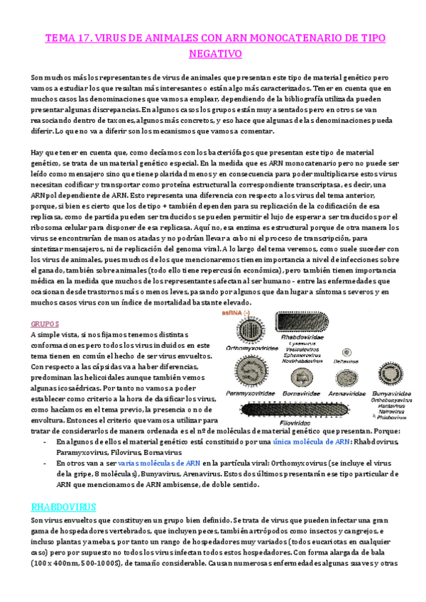 Miniatura del documento TEMA-17.pdf