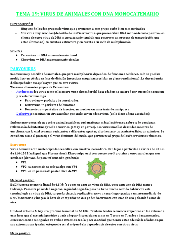 Miniatura del documento TEMA-19.pdf