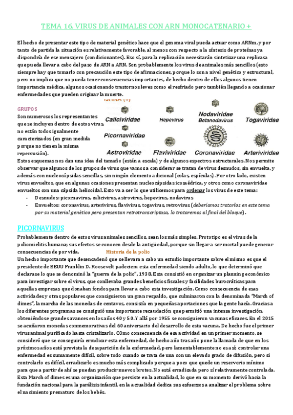 Miniatura del documento TEMA-16.pdf