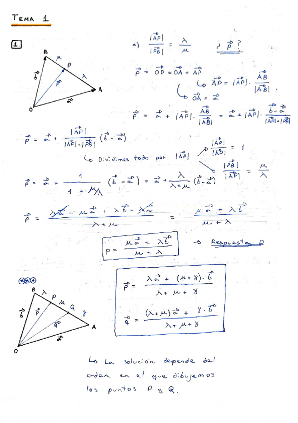 Miniatura del documento Boletín 1