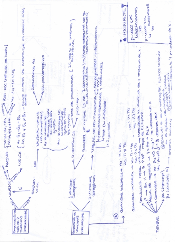 Miniatura del documento esquema-todo-el-temario.pdf