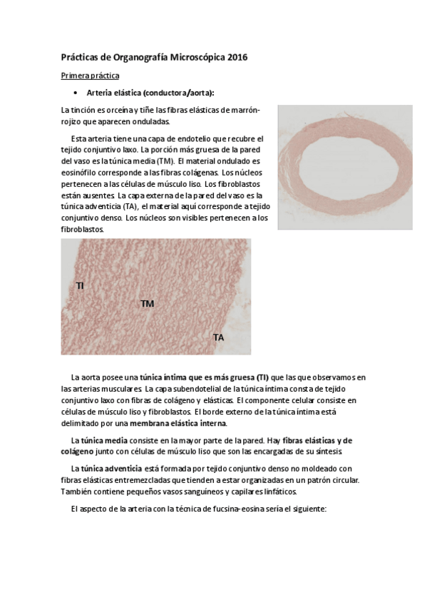 Miniatura del documento PracOrg2016.pdf