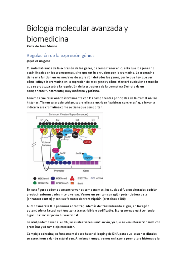Miniatura del documento Apuntes-Juan-Munoz.pdf