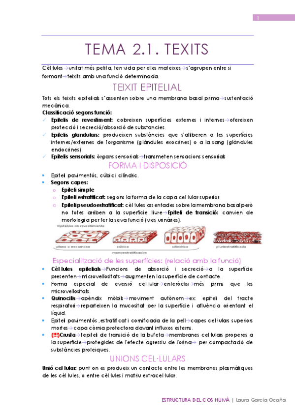 Miniatura del documento Resum-T2.pdf