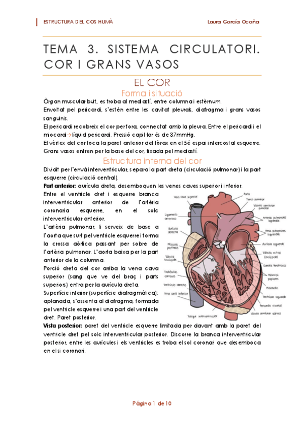Miniatura del documento Resum-T3.pdf